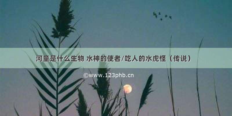 河童是什么生物 水神的使者/吃人的水虎怪（传说）