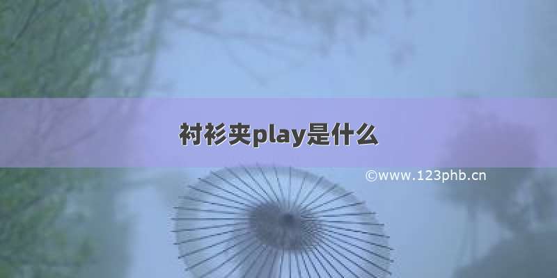 衬衫夹play是什么