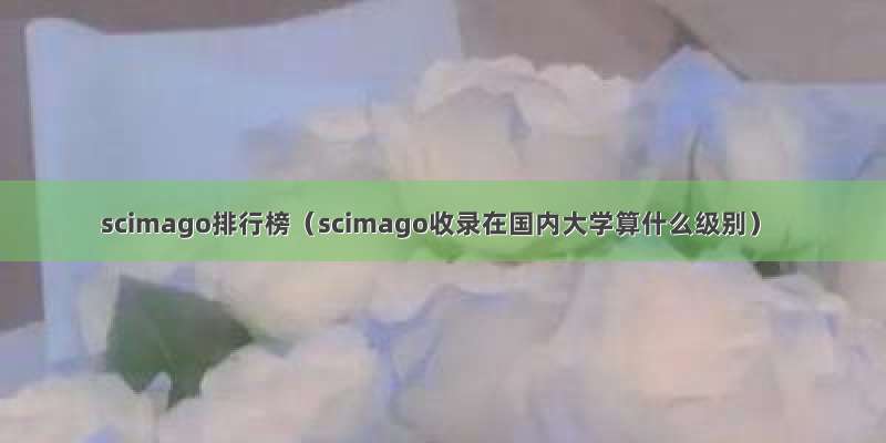 scimago排行榜（scimago收录在国内大学算什么级别）