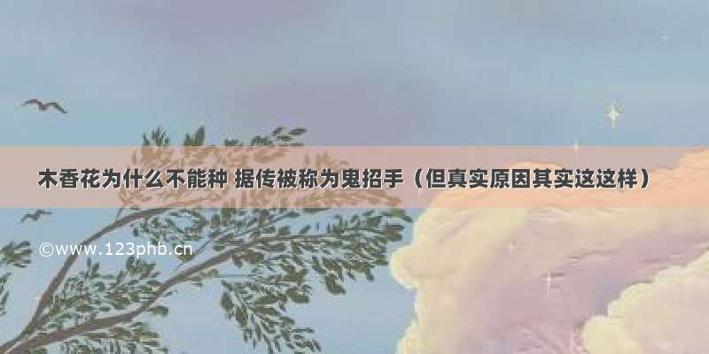 木香花为什么不能种 据传被称为鬼招手（但真实原因其实这这样）