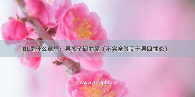 BL是什么意思：男孩子间的爱（不完全等同于男同性恋）