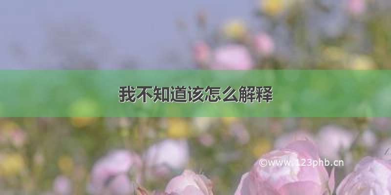 我不知道该怎么解释