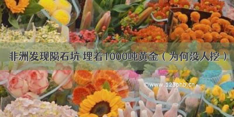 非洲发现陨石坑 埋着1000吨黄金（为何没人挖）