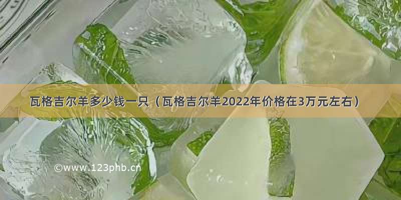 瓦格吉尔羊多少钱一只（瓦格吉尔羊2022年价格在3万元左右）