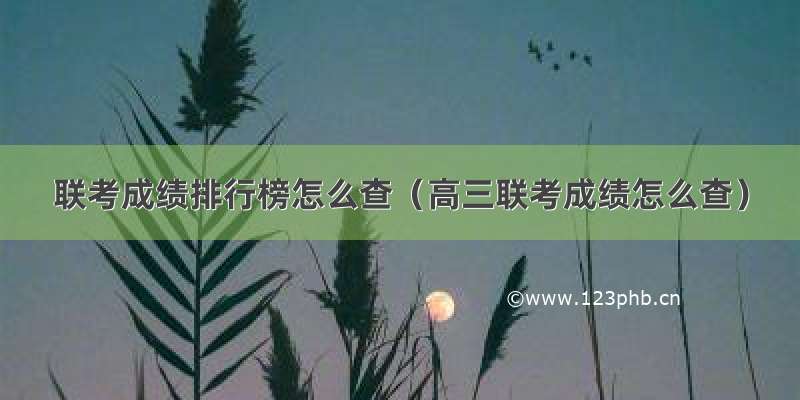 联考成绩排行榜怎么查（高三联考成绩怎么查）