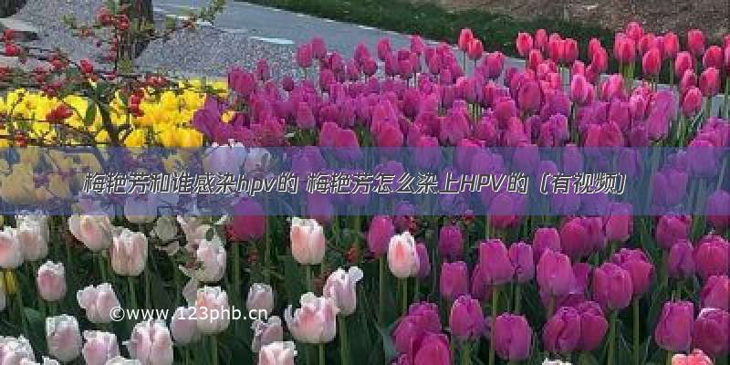 梅艳芳和谁感染hpv的 梅艳芳怎么染上HPV的（有视频）