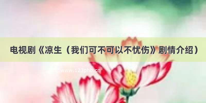 电视剧《凉生（我们可不可以不忧伤》剧情介绍）