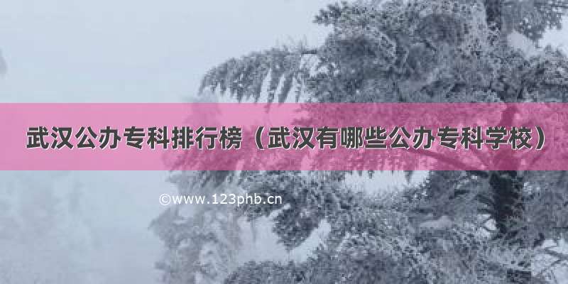 武汉公办专科排行榜（武汉有哪些公办专科学校）