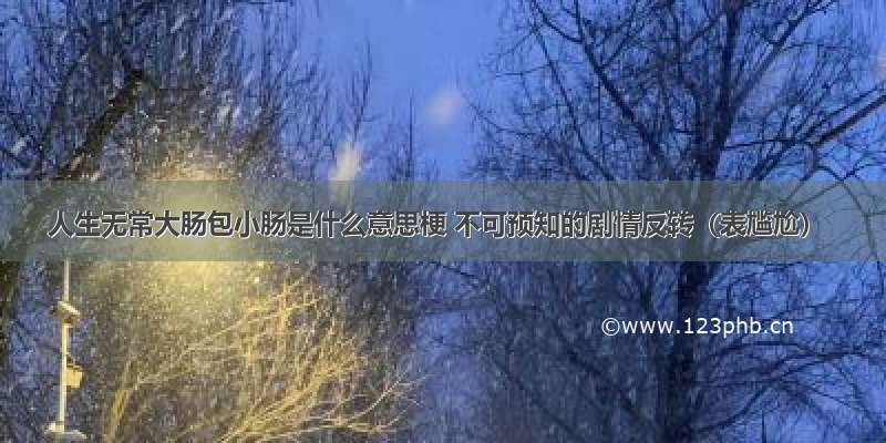 人生无常大肠包小肠是什么意思梗 不可预知的剧情反转（表尴尬）