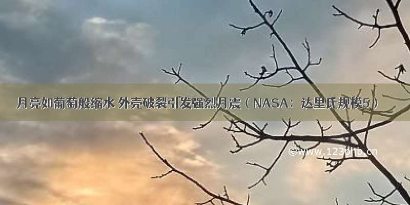 月亮如葡萄般缩水 外壳破裂引发强烈月震（NASA：达里氏规模5）