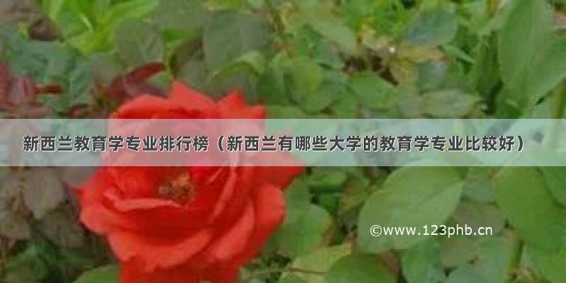 新西兰教育学专业排行榜（新西兰有哪些大学的教育学专业比较好）