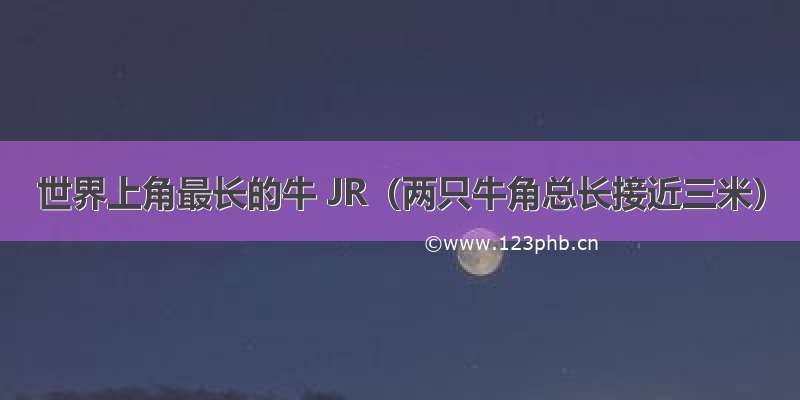 世界上角最长的牛 JR（两只牛角总长接近三米）