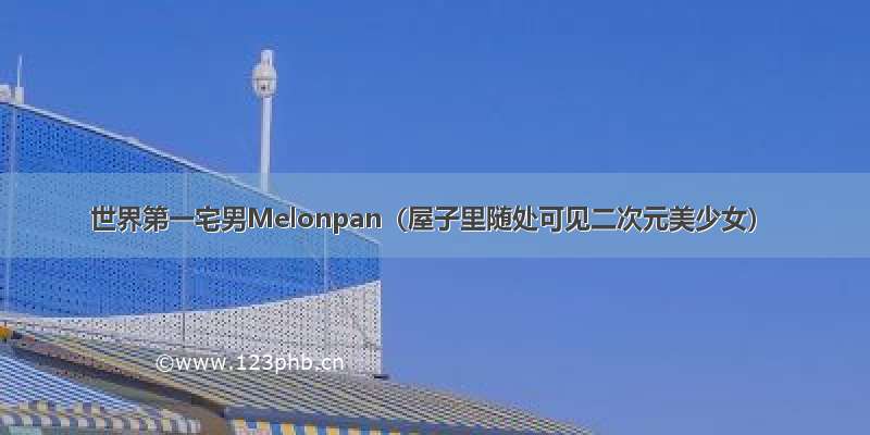 世界第一宅男Melonpan（屋子里随处可见二次元美少女）