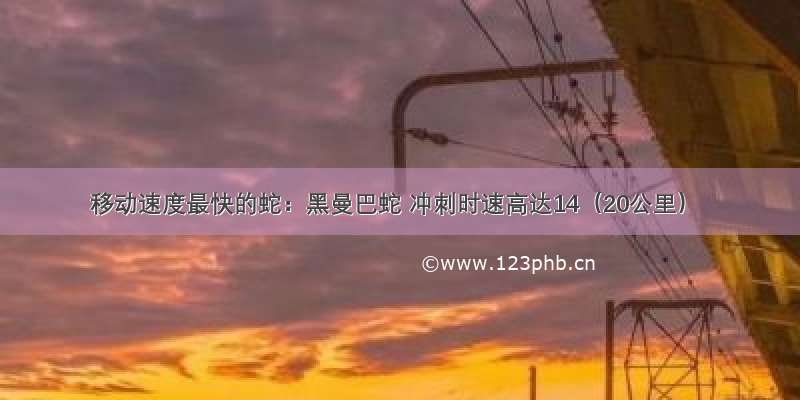 移动速度最快的蛇：黑曼巴蛇 冲刺时速高达14（20公里）