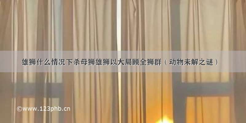 雄狮什么情况下杀母狮雄狮以大局顾全狮群（动物未解之谜）