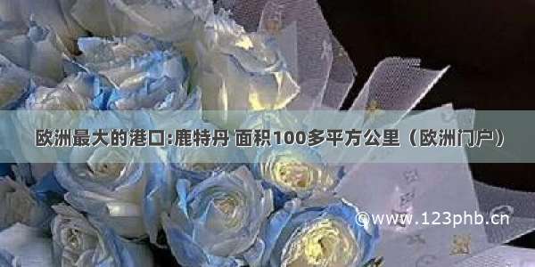 欧洲最大的港口:鹿特丹 面积100多平方公里（欧洲门户）