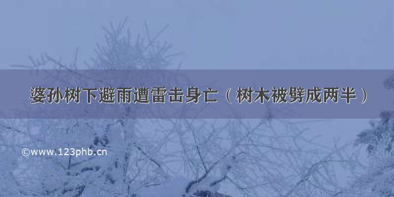 婆孙树下避雨遭雷击身亡（树木被劈成两半）