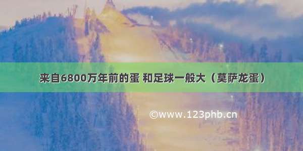 来自6800万年前的蛋 和足球一般大（莫萨龙蛋）