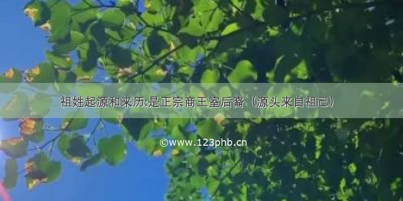 祖姓起源和来历:是正宗商王室后裔（源头来自祖己）