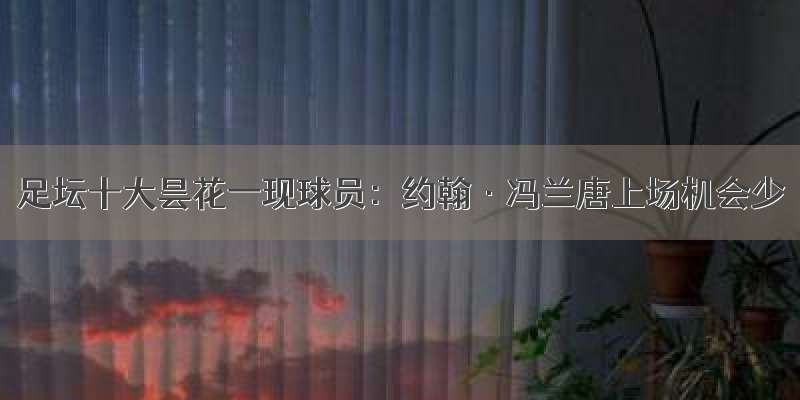 足坛十大昙花一现球员：约翰·冯兰唐上场机会少