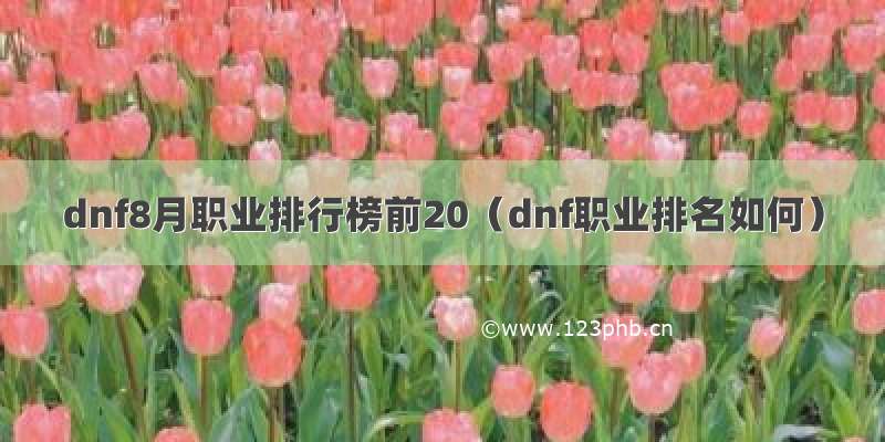 dnf8月职业排行榜前20（dnf职业排名如何）