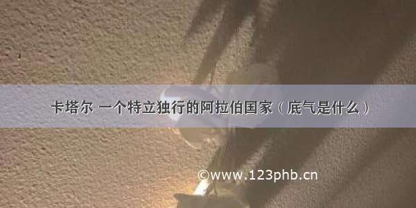 卡塔尔 一个特立独行的阿拉伯国家（底气是什么）