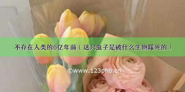 不存在人类的6亿年前（这只虫子是被什么生物踩死的）