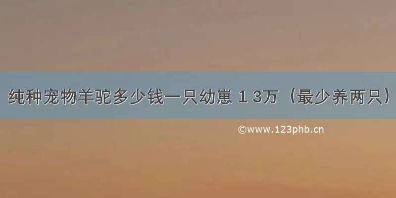 纯种宠物羊驼多少钱一只幼崽 1 3万（最少养两只）