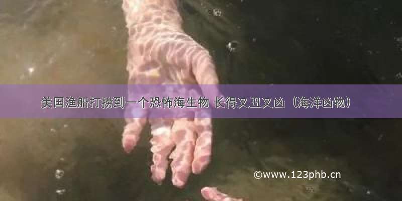 美国渔船打捞到一个恐怖海生物 长得又丑又凶（海洋凶物）