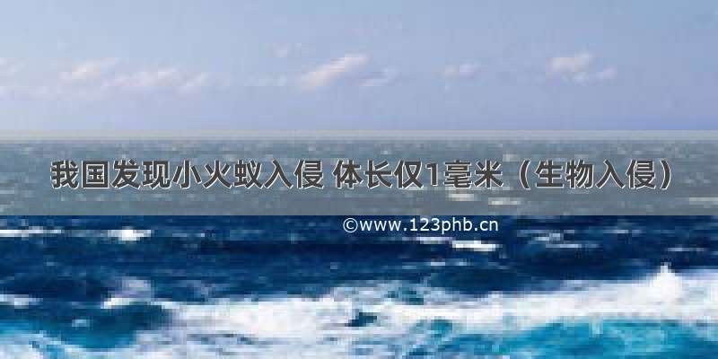 我国发现小火蚁入侵 体长仅1毫米（生物入侵）