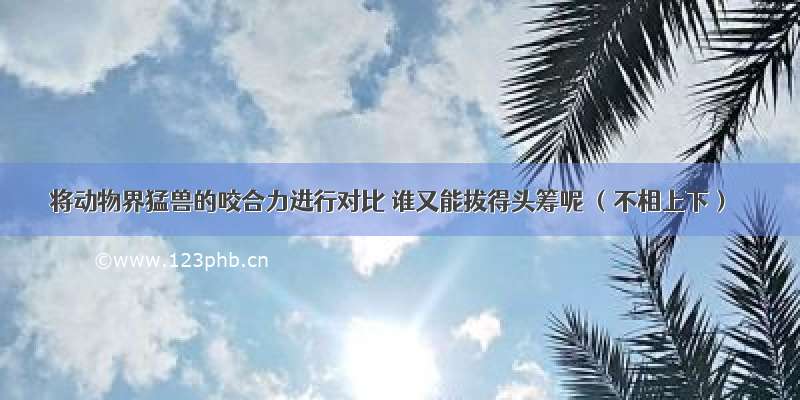 将动物界猛兽的咬合力进行对比 谁又能拔得头筹呢 （不相上下）