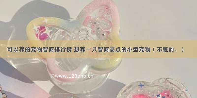 可以养的宠物智商排行榜 想养一只智商高点的小型宠物（不脏的。）