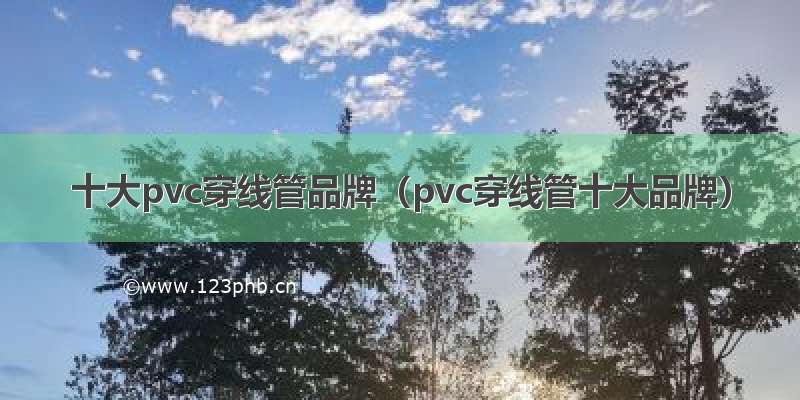 十大pvc穿线管品牌（pvc穿线管十大品牌）