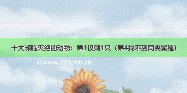 十大濒临灭绝的动物：第1仅剩1只（第4找不到同类繁殖）