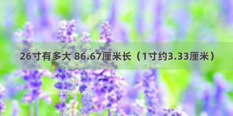 26寸有多大 86.67厘米长（1寸约3.33厘米）