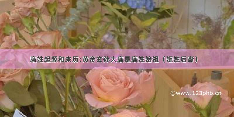 廉姓起源和来历:黄帝玄孙大廉是廉姓始祖（姬姓后裔）