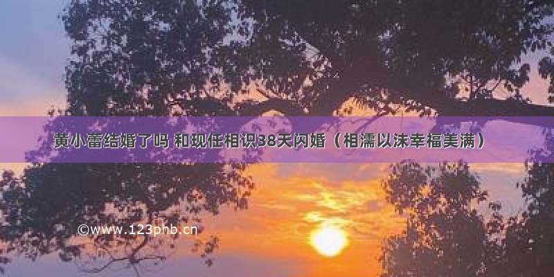 黄小蕾结婚了吗 和现任相识38天闪婚（相濡以沫幸福美满）