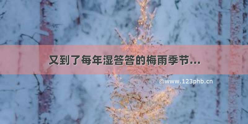 又到了每年湿答答的梅雨季节…