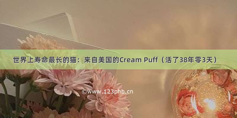 世界上寿命最长的猫：来自美国的Cream Puff（活了38年零3天）