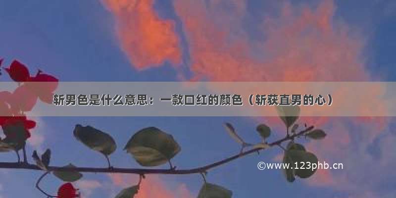 斩男色是什么意思：一款口红的颜色（斩获直男的心）