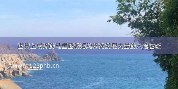 世界上最深的马里亚纳海沟深处发现大量的人造垃圾