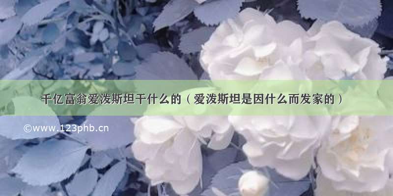 千亿富翁爱泼斯坦干什么的（爱泼斯坦是因什么而发家的）