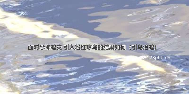 面对恐怖蝗灾 引入粉红琼鸟的结果如何（引鸟治蝗）