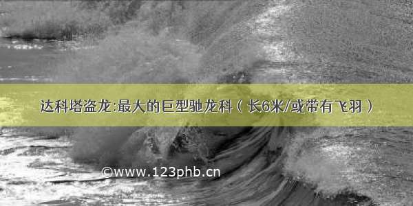 达科塔盗龙:最大的巨型驰龙科（长6米/或带有飞羽）