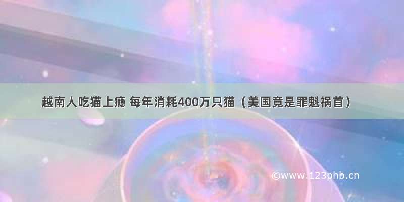 越南人吃猫上瘾 每年消耗400万只猫（美国竟是罪魁祸首）