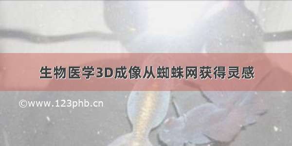 生物医学3D成像从蜘蛛网获得灵感