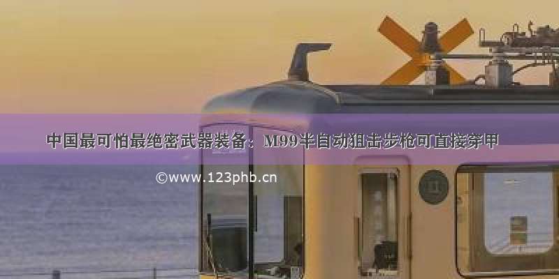 中国最可怕最绝密武器装备：M99半自动狙击步枪可直接穿甲