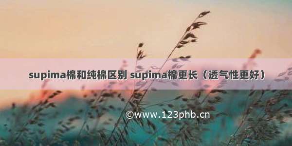 supima棉和纯棉区别 supima棉更长（透气性更好）