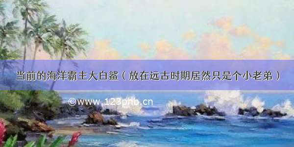 当前的海洋霸主大白鲨（放在远古时期居然只是个小老弟）