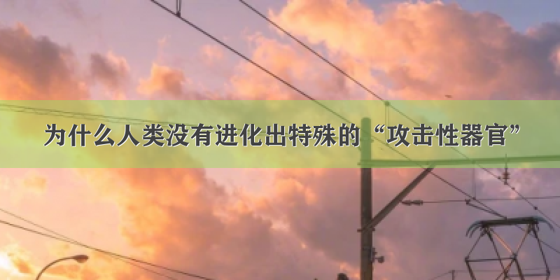 为什么人类没有进化出特殊的“攻击性器官”